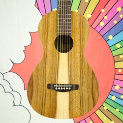 Ibanez Parlor 12 Fret Acoustic Guitar, Open Pore Brown PN2WS