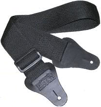 EVANS Evans Genera G2 13" Coated B13G2